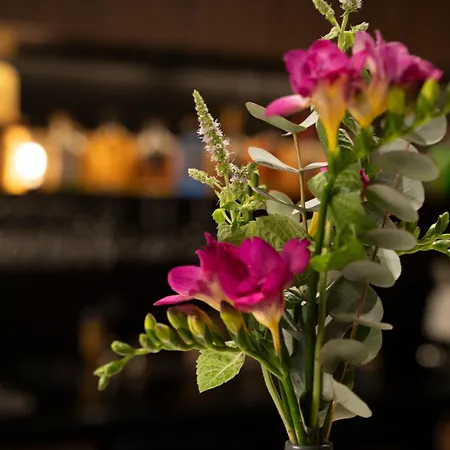 Nicolo - Tour Eiffel 호텔 3*